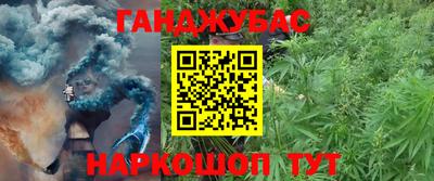 МДПВ Дубна