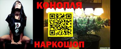 МДПВ Дубна