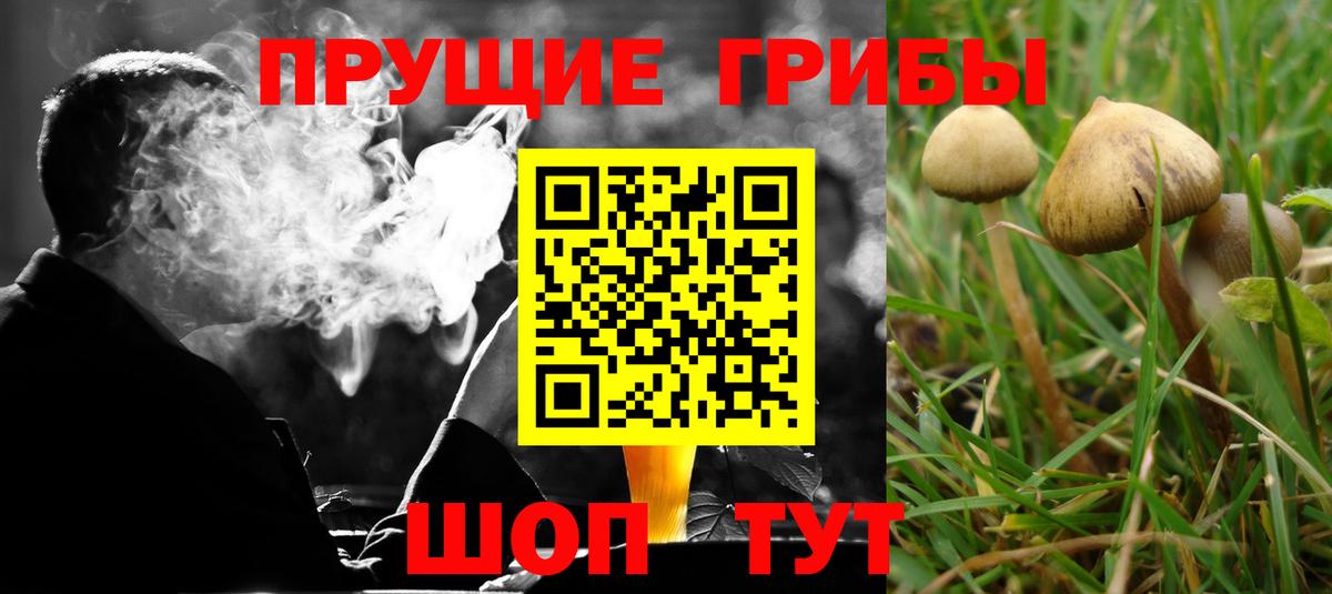 Псилоцибиновые грибы GOLDEN TEACHER Нижневартовск